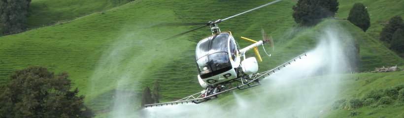 Heli hunt n Fish, Taupo