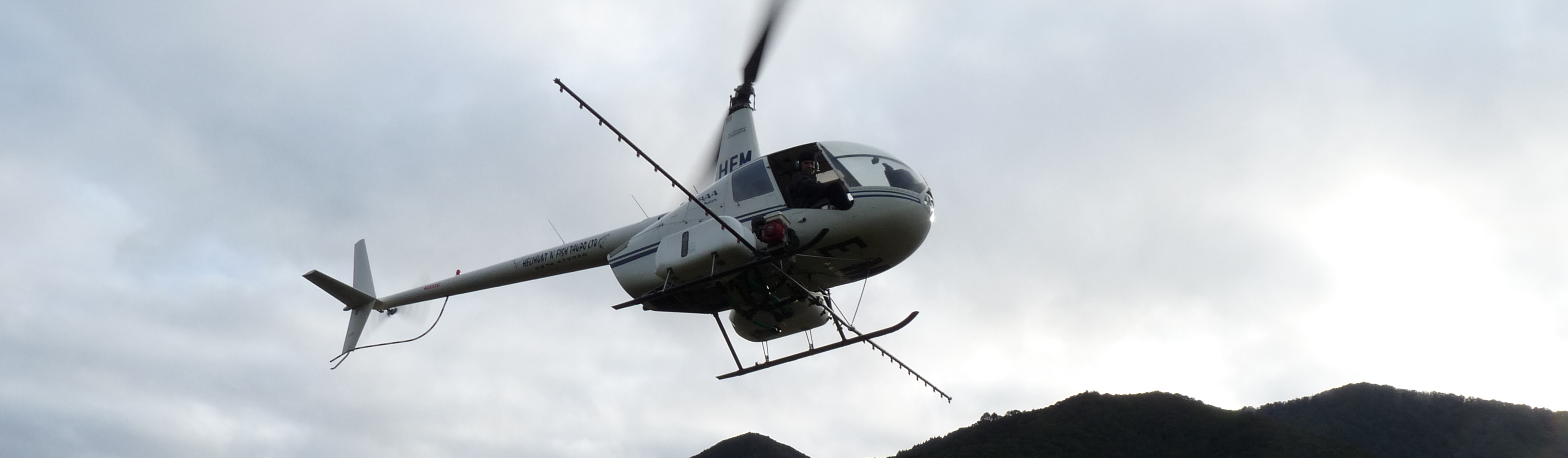 Heli hunt n Fish, Taupo