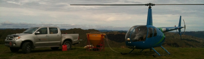 Heli hunt n Fish, Taupo